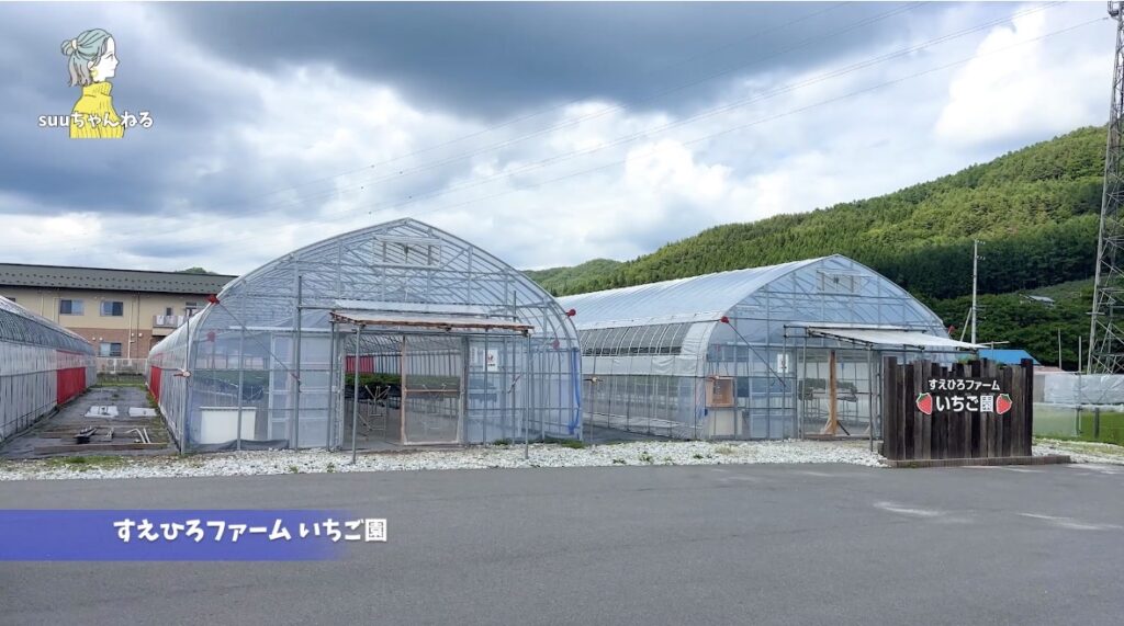 夏秋いちご「サマーリリカル」の農園すえひろファーム