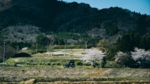 北海道ツーリング旅行のバイク選び：選び方のコツとリアルな口コミの大切さ のアイキャッチ画像